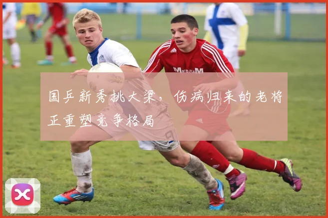 国乒新秀挑大梁,伤病归来的老将正重塑竞争格局