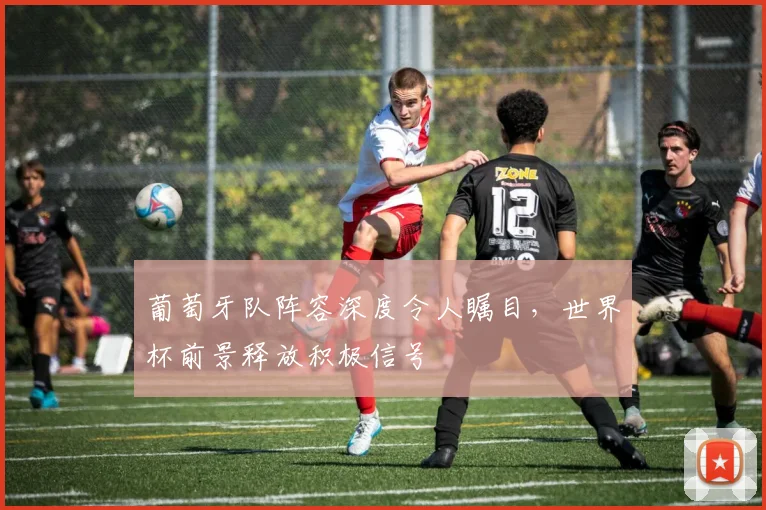 葡萄牙队阵容深度令人瞩目,世界杯前景释放积极信号