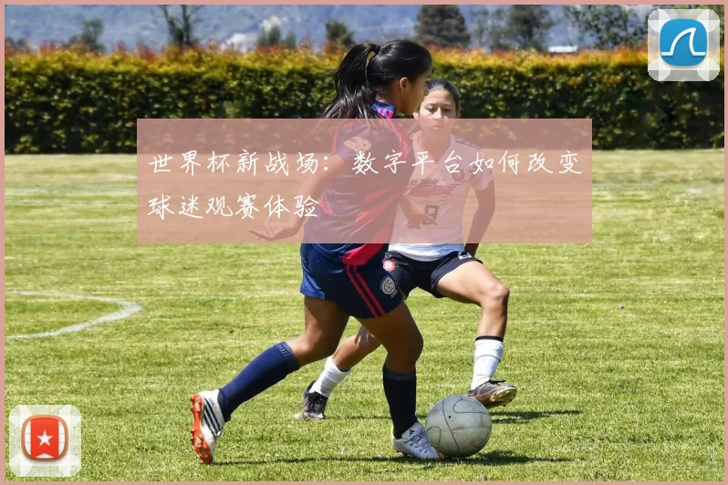 世界杯新战场:数字平台如何改变球迷观赛体验