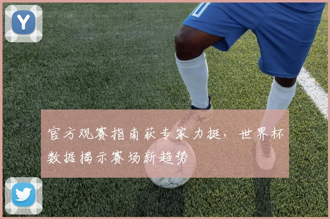 官方观赛指南获专家力挺,世界杯数据揭示赛场新趋势