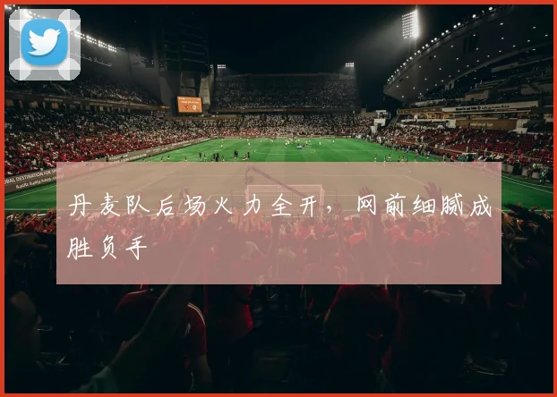 丹麦队后场火力全开，网前细腻成胜负手