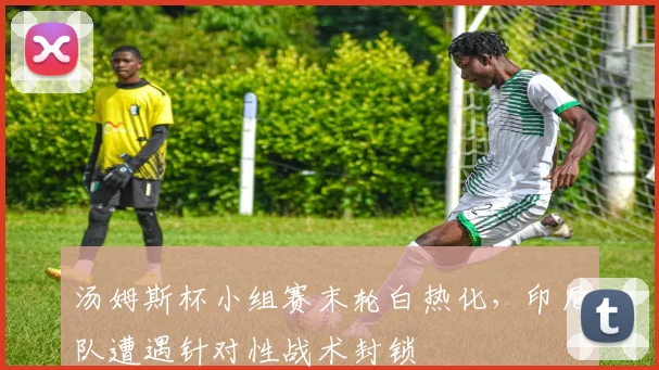 汤姆斯杯小组赛末轮白热化,印尼队遭遇针对性战术封锁