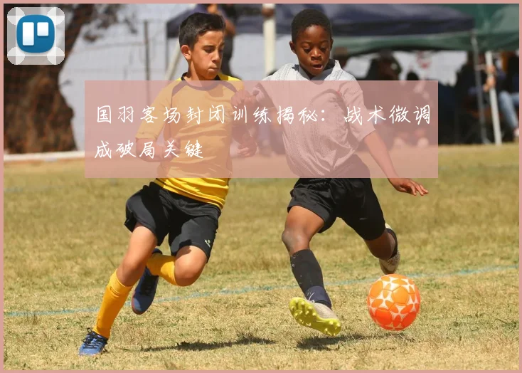 国羽客场封闭训练揭秘:战术微调成破局关键