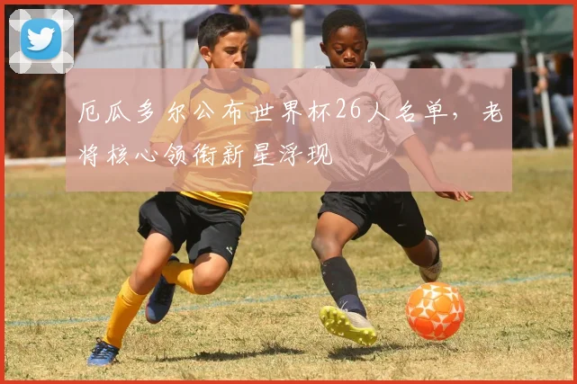 厄瓜多尔公布世界杯26人名单,老将核心领衔新星浮现